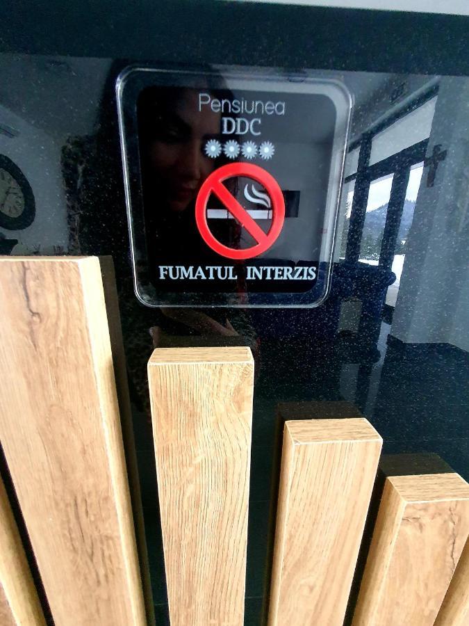Pensiunea Ddc Colibiţa Dış mekan fotoğraf